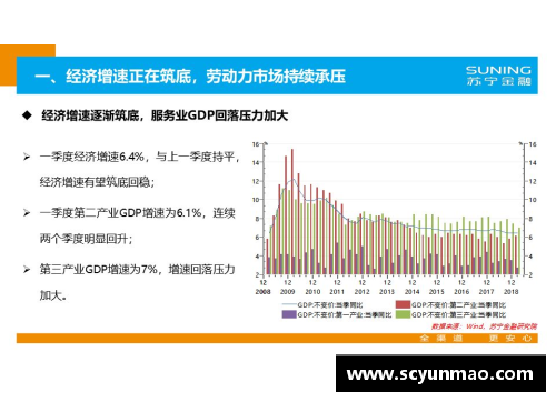 探索球员信息WF：数据分析与未来趋势展望