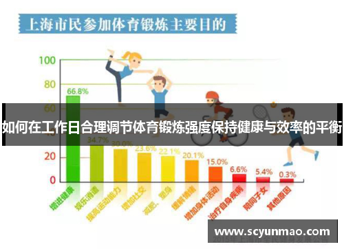 如何在工作日合理调节体育锻炼强度保持健康与效率的平衡