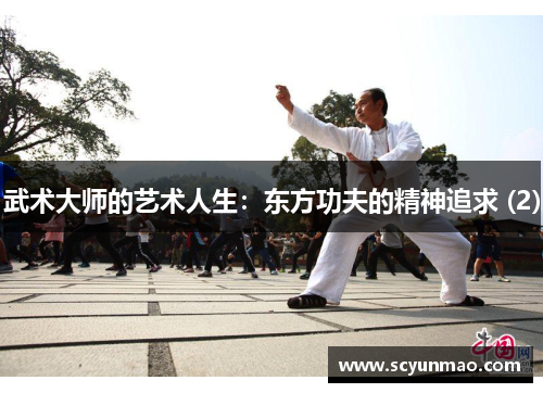 武术大师的艺术人生：东方功夫的精神追求 (2)